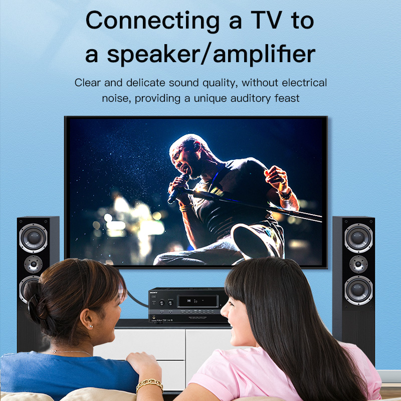 CHOSEAL Kabel RCA Kabel Audio  - Home Cinema Beamer ulasan dan harga