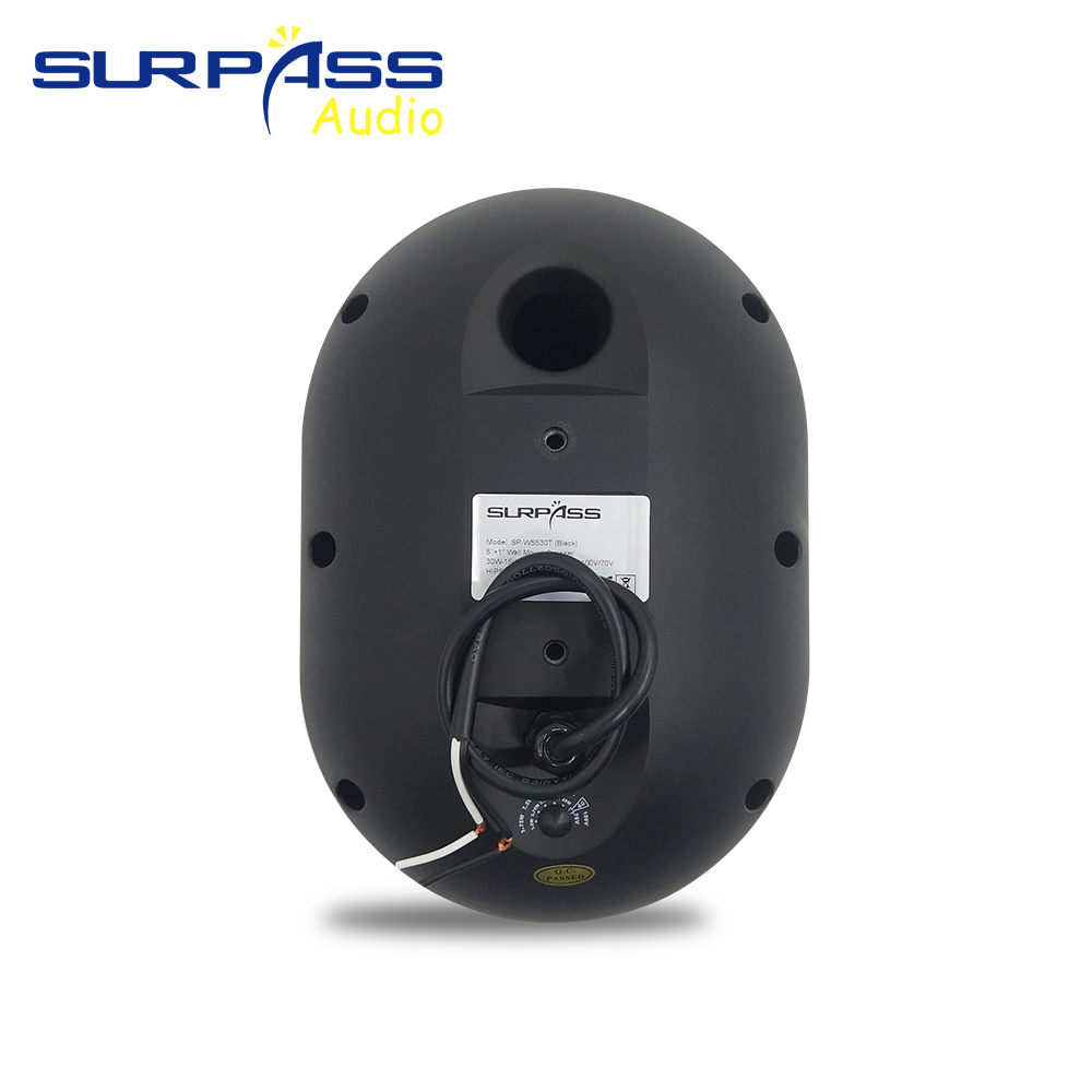 Speaker Dinding 30W Tahan Air  - Wall Mount Speaker ulasan dan harga
